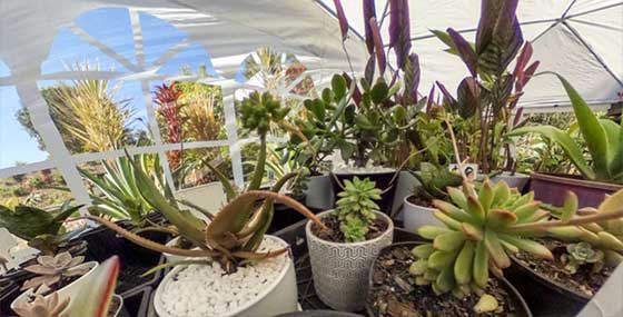 A 360 photo sold to a business through My 360 Shop